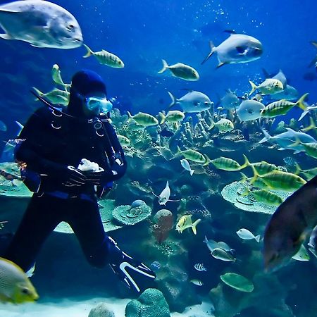 Отель The Club Barbados (Adults Only) Сент-Джеймс Экстерьер фото